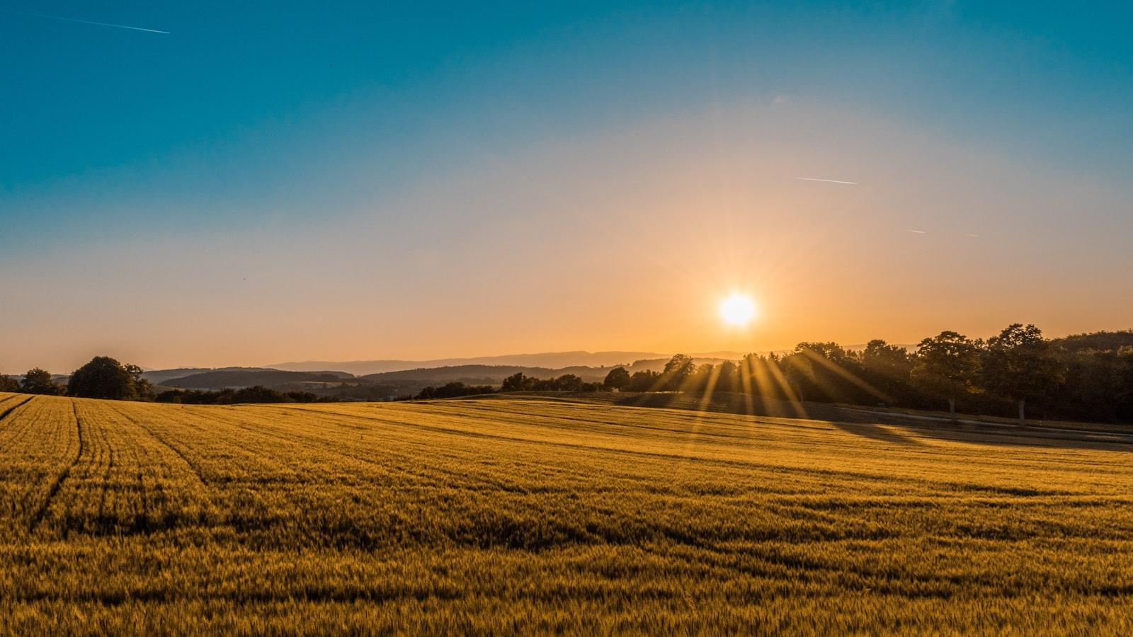 Agriculture & Agribusiness